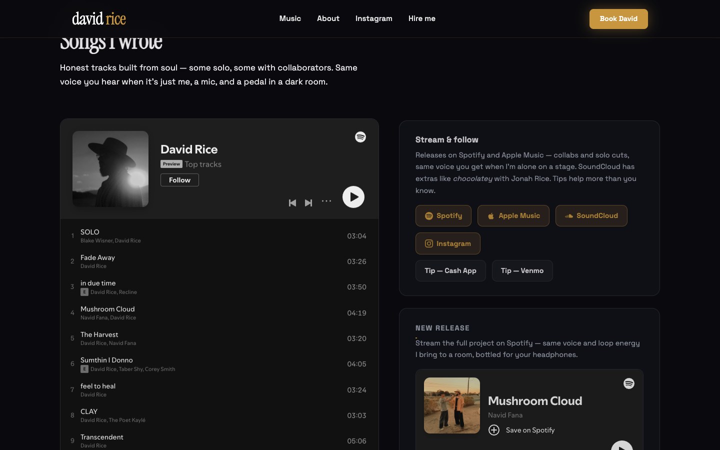 David Rice homepage scrolled desktop