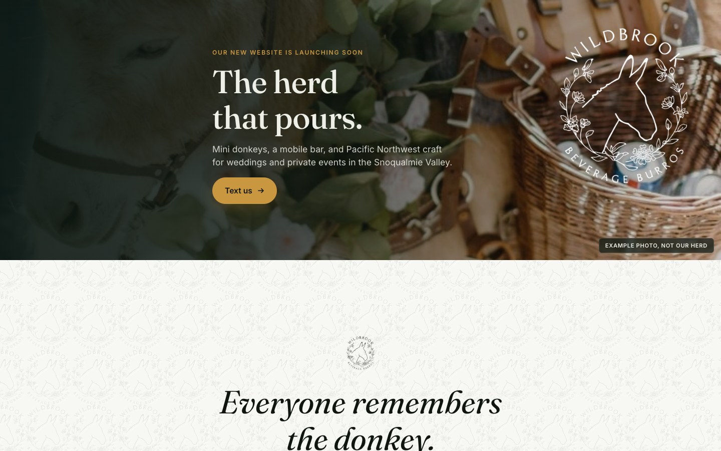 Wildbrook Beverage Burros homepage (desktop and mobile)