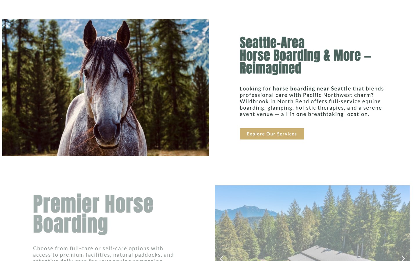 Wildbrook homepage scrolled desktop