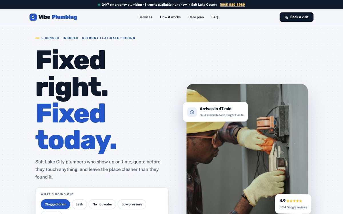 Vibe Plumbing demo homepage preview