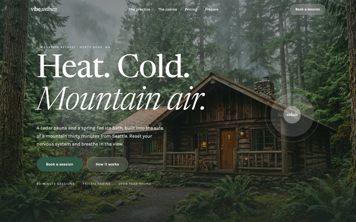 Vibe Wellness demo homepage preview