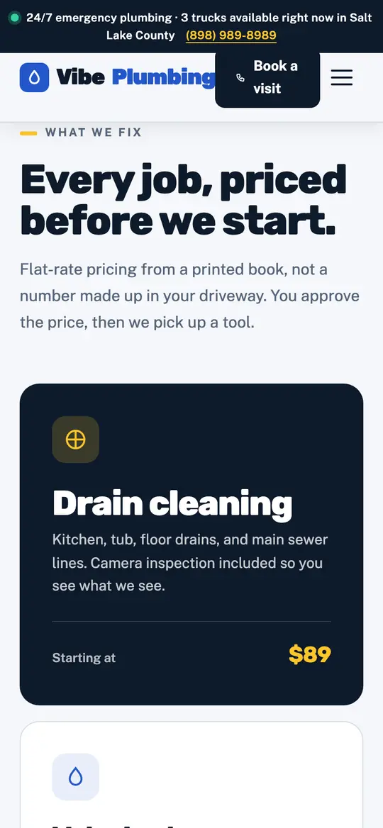 Vibe Plumbing demo services section on a phone