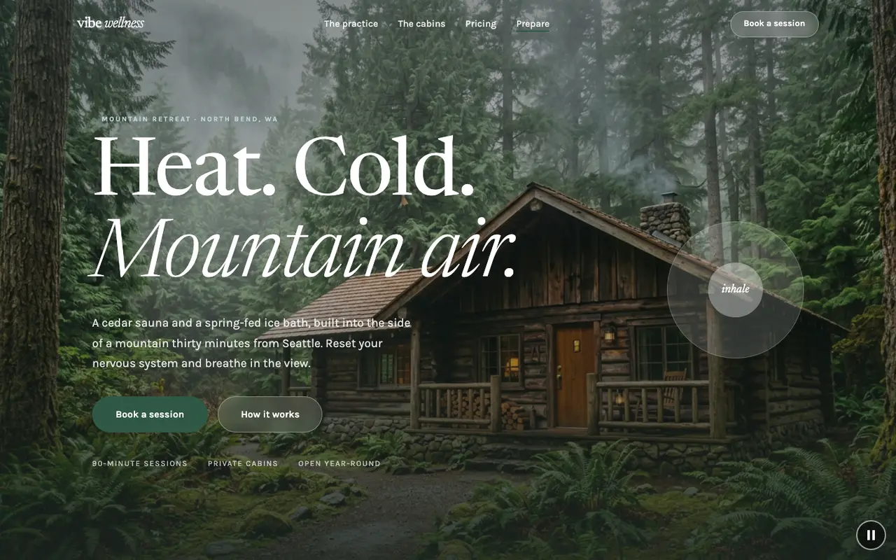 Vibe Wellness demo homepage on a desktop browser