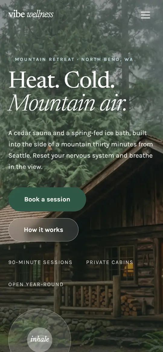 Vibe Wellness demo homepage on a phone